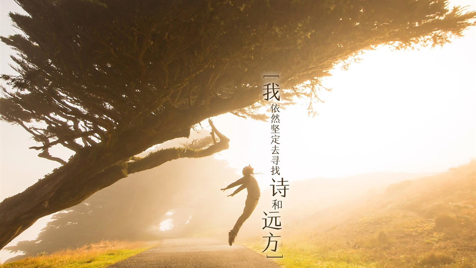 法甲焦点战，精彩进球与战术调动成为全场焦点，法甲十佳球