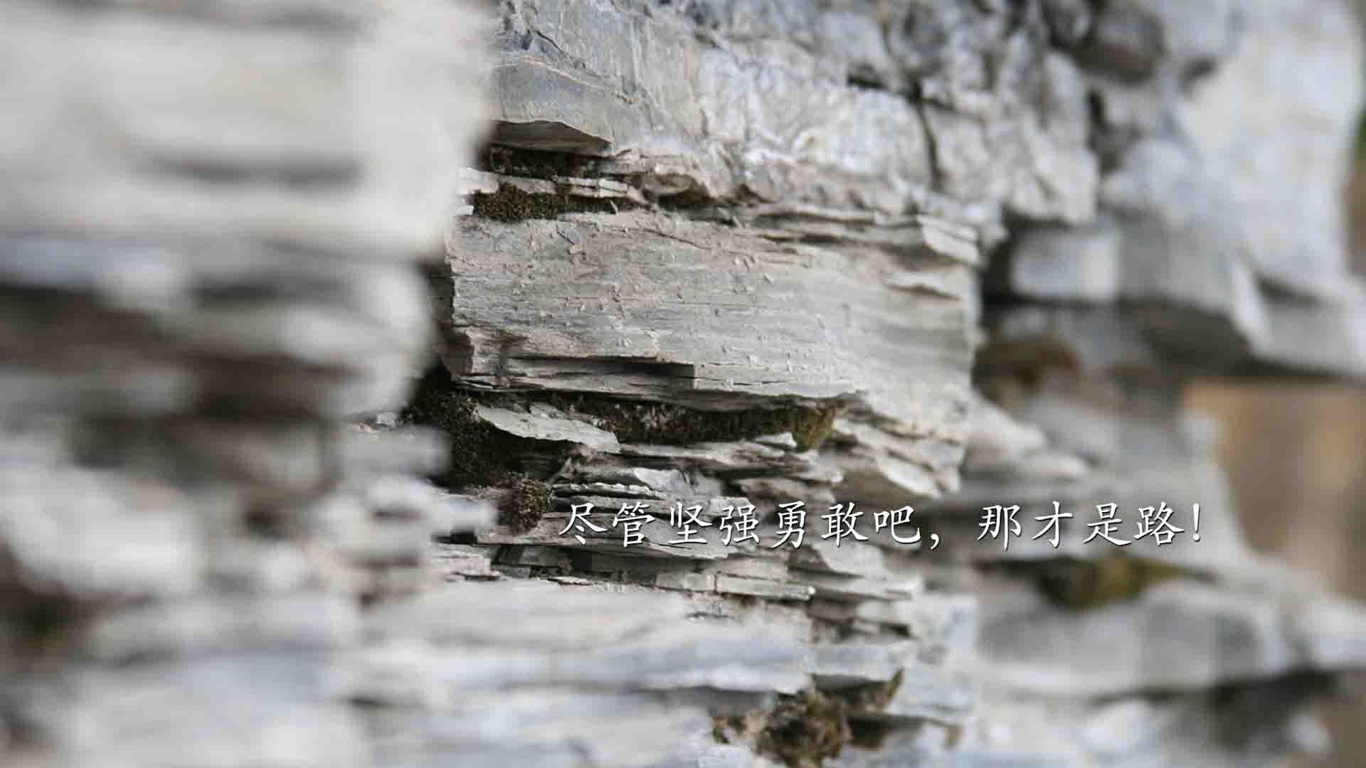 尤文签下实力中场，尤文中场配置排名