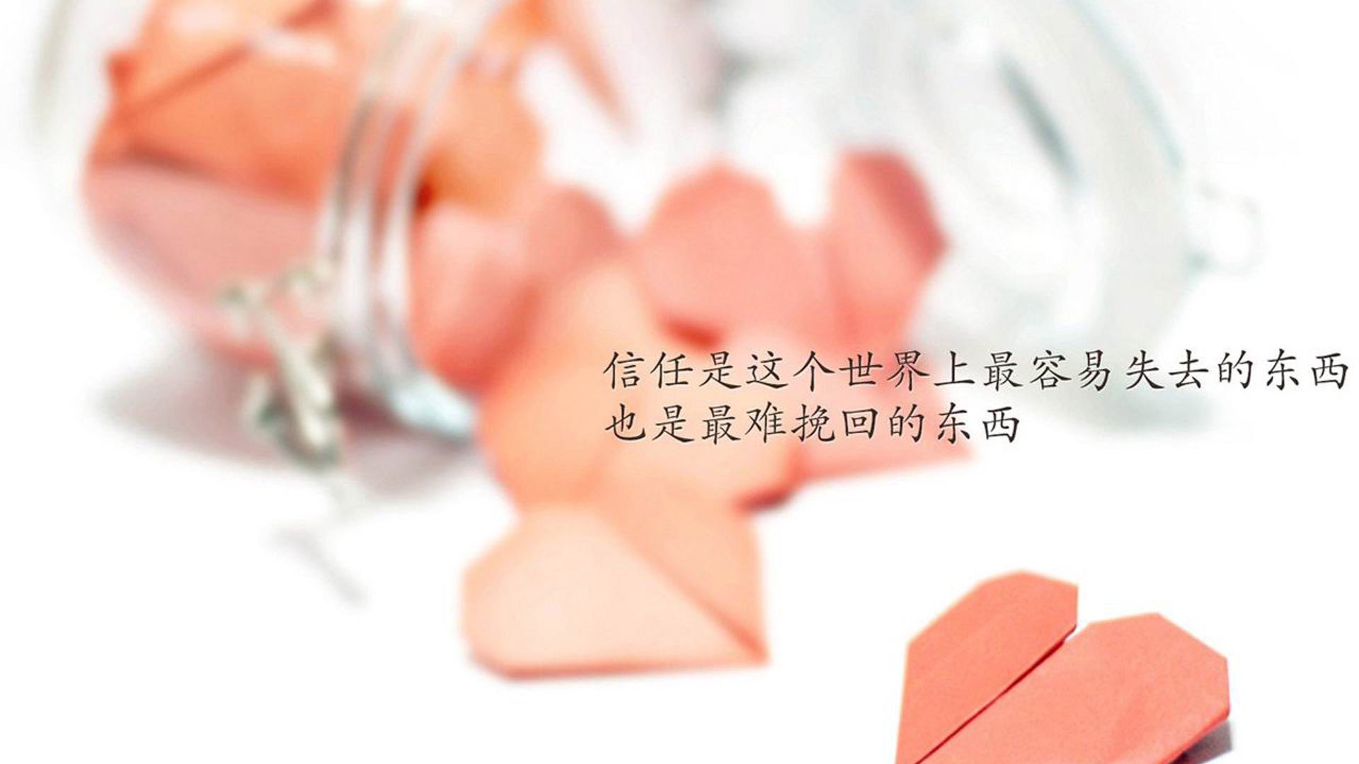 明斯特球员坚守阵地，最终取得宝贵的三分，明斯特高等专业学院