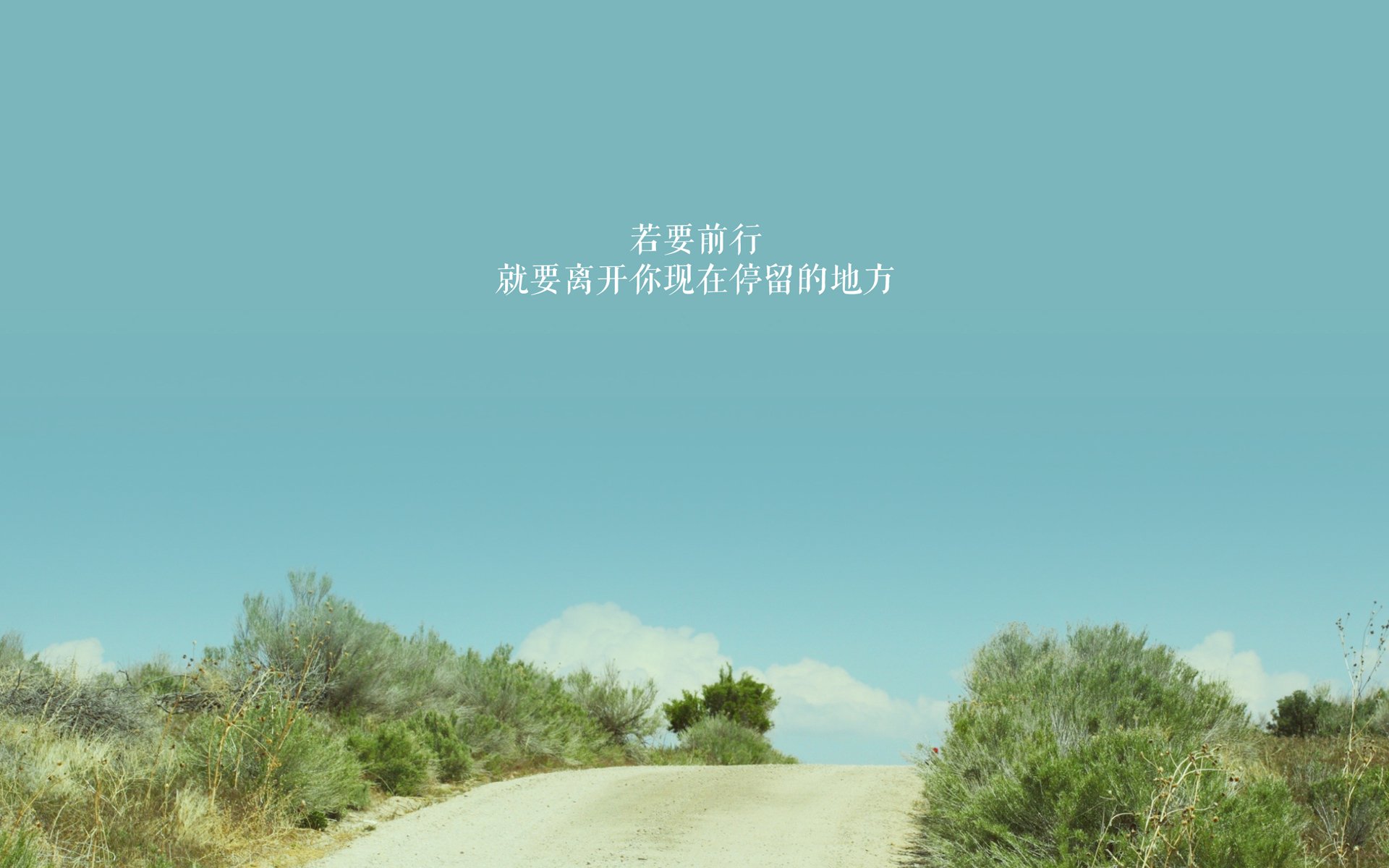 职业篮球联盟市场竞争格局，中国职业篮球联盟简称
