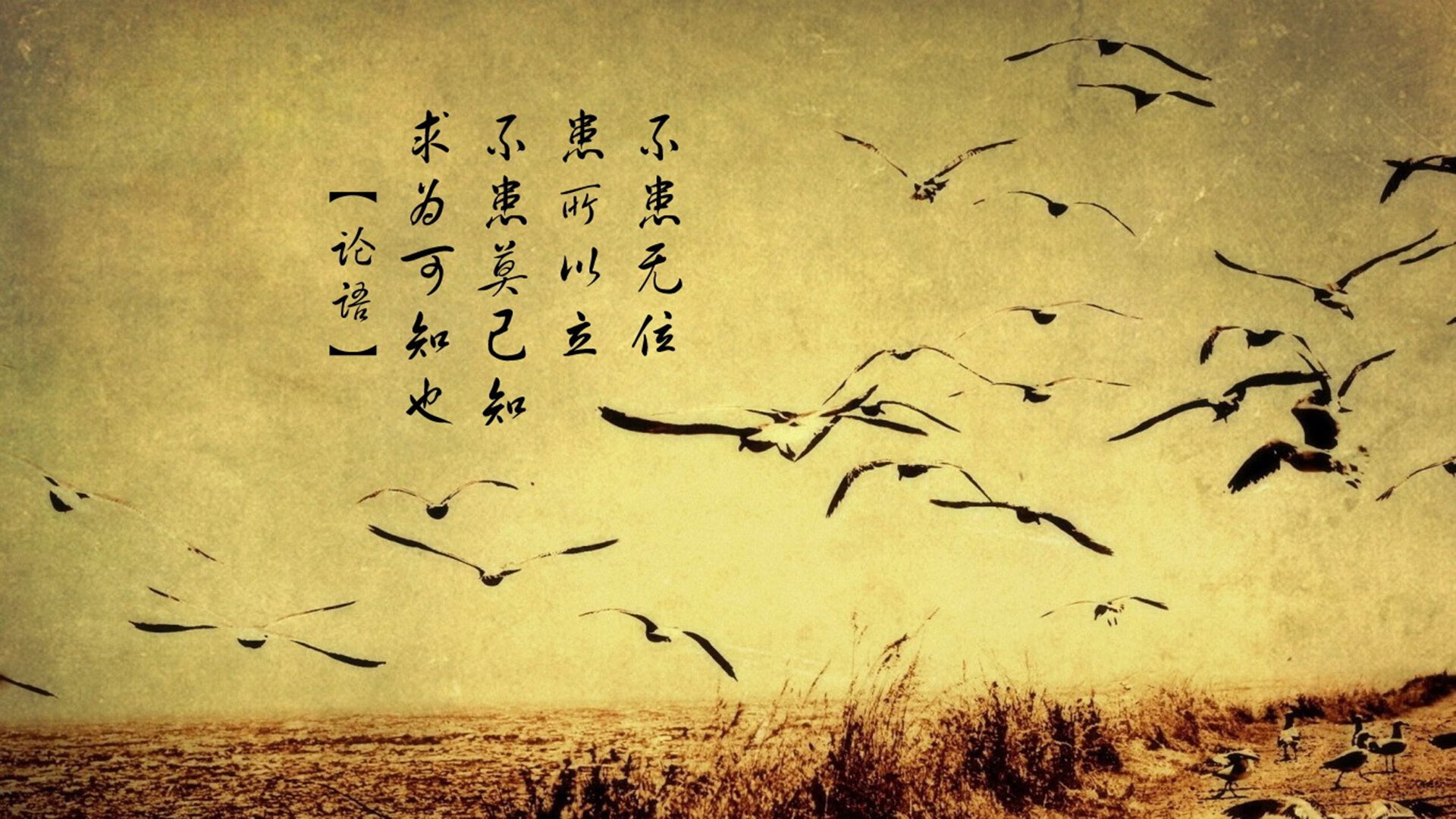 kaiyun中国官方网站-门兴主帅因个人原因辞职，球队面临困境，门兴为什么总能赢拜仁