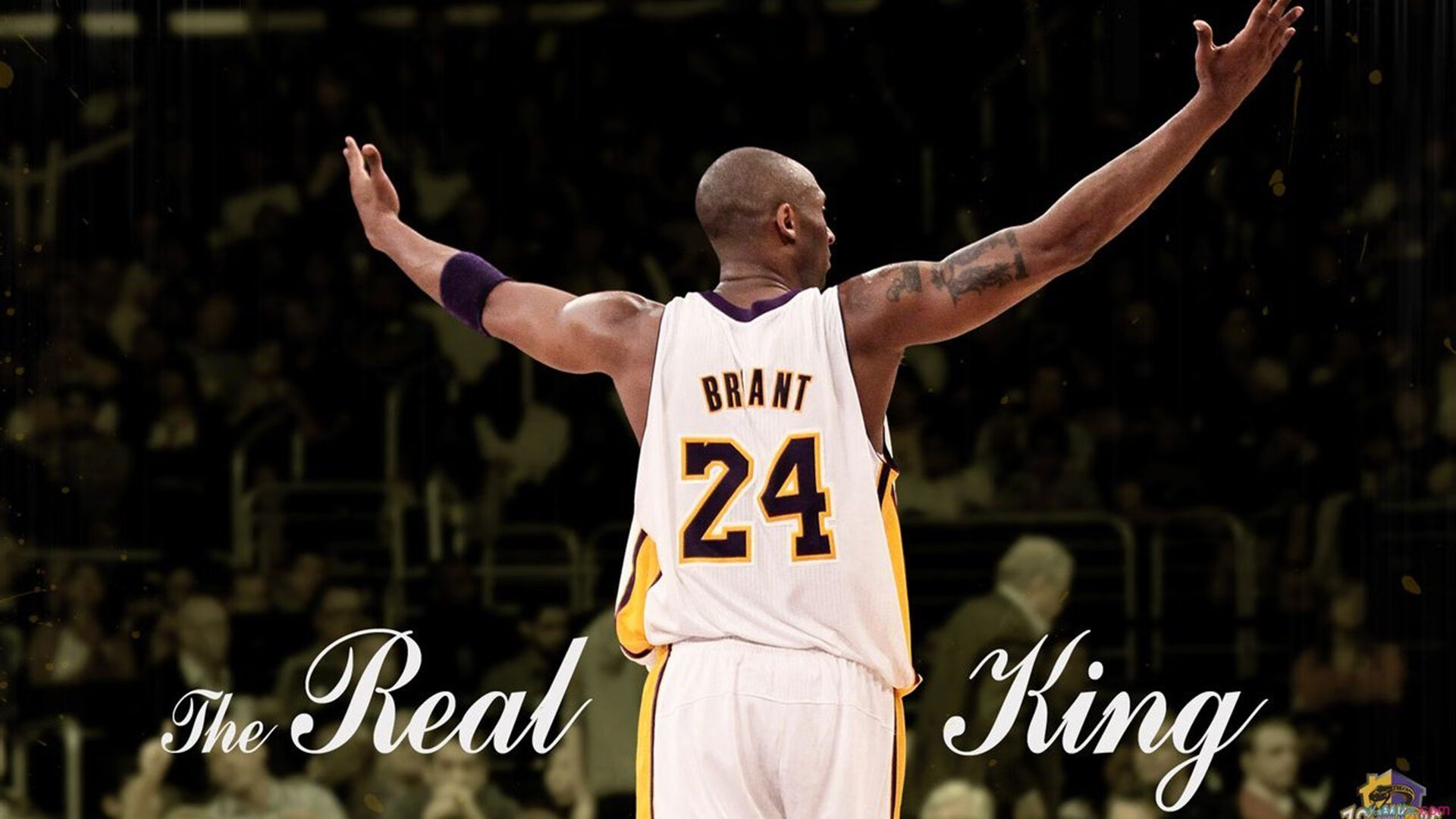 字母哥自掏腰包资助非洲青训项目，成篮球慈善先锋，字母哥非洲哪个国家