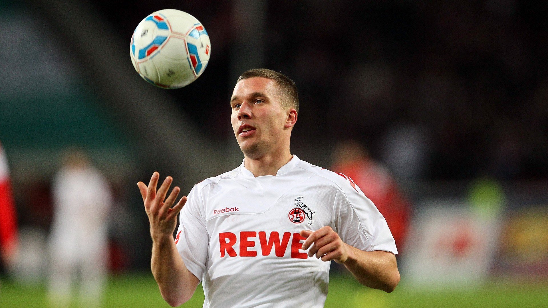 荷兰马术协会与国际马术联合会合作，举办国际马术交流活动，促进技术交流。